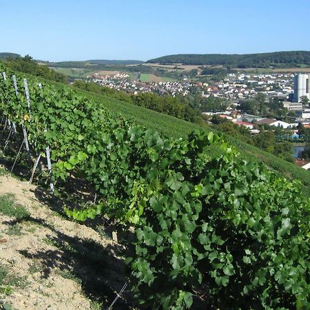 卡尔施塔特 Weinstube Schwalbennest酒店 外观 照片