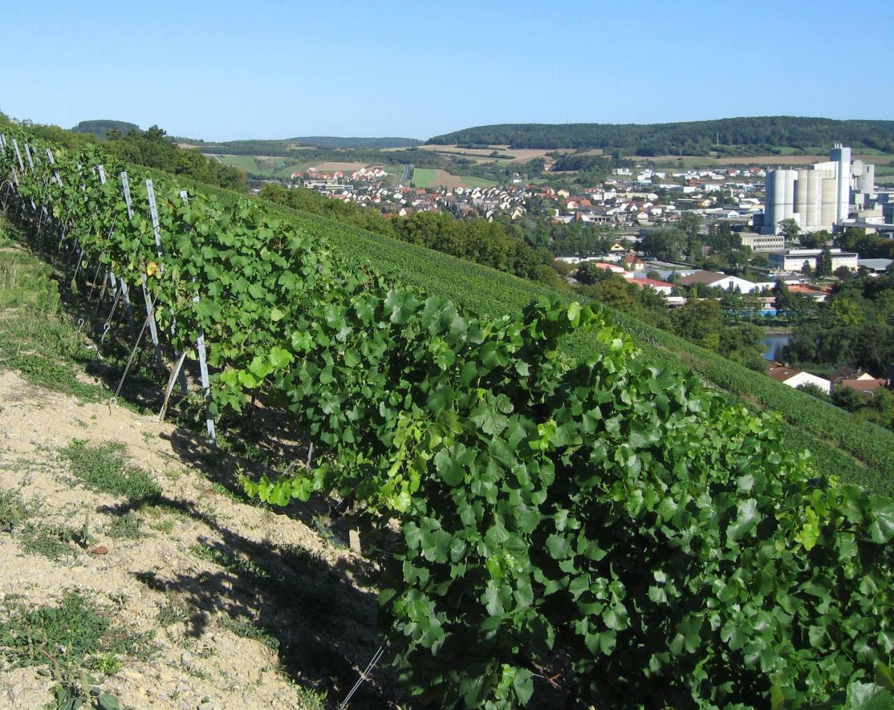 卡尔施塔特 Weinstube Schwalbennest酒店 外观 照片